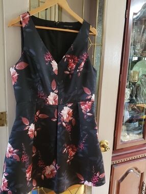 Cynthia Steffe Black Rose Sleeveless V Neck Dress NWOT Size 12  PTP 20"